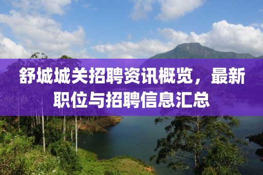 舒城城关招聘资讯概览，最新职位与招聘信息汇总