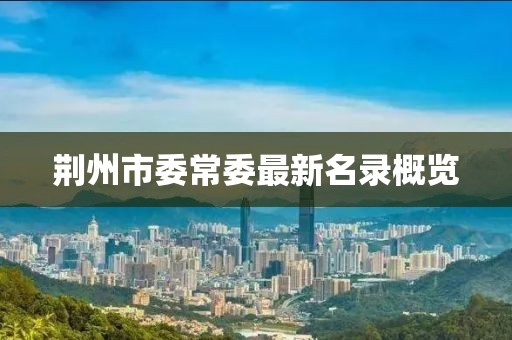 荆州市委常委最新名录概览