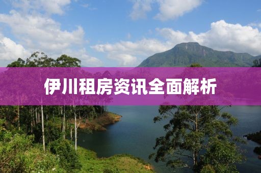 2024年12月 第49页