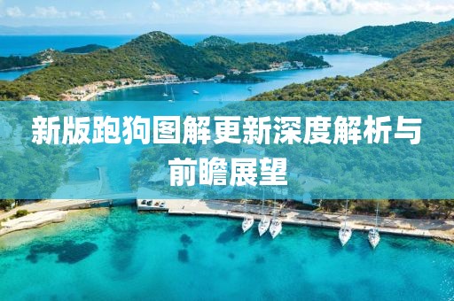 新版跑狗图解更新深度解析与前瞻展望
