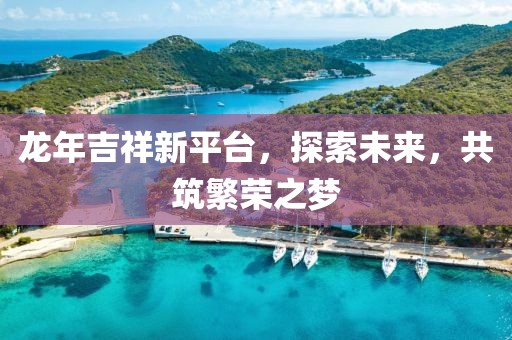 龙年吉祥新平台，探索未来，共筑繁荣之梦