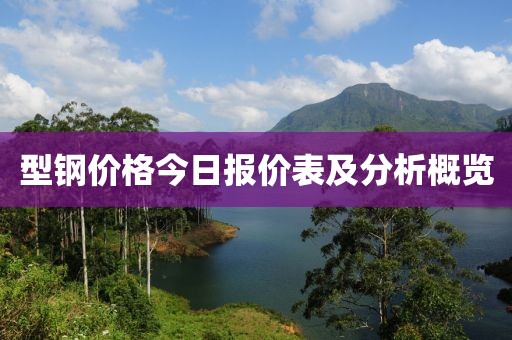 型钢价格今日报价表及分析概览