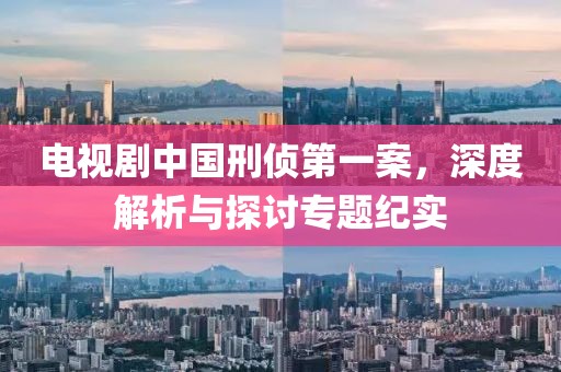 电视剧中国刑侦第一案，深度解析与探讨专题纪实