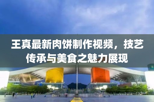 王真最新肉饼制作视频，技艺传承与美食之魅力展现