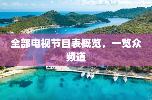 全部电视节目表概览，一览众频道
