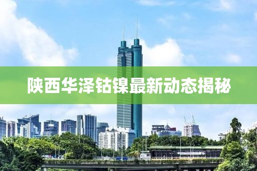 陕西华泽钴镍最新动态揭秘