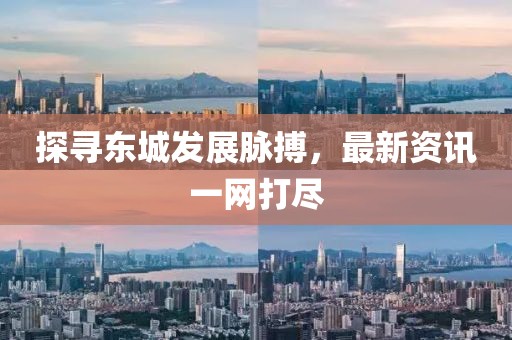 探寻东城发展脉搏，最新资讯一网打尽