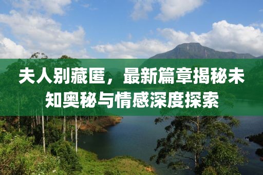 夫人别藏匿，最新篇章揭秘未知奥秘与情感深度探索