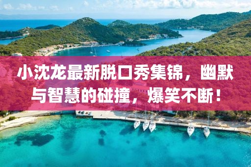 小沈龙最新脱口秀集锦，幽默与智慧的碰撞，爆笑不断！