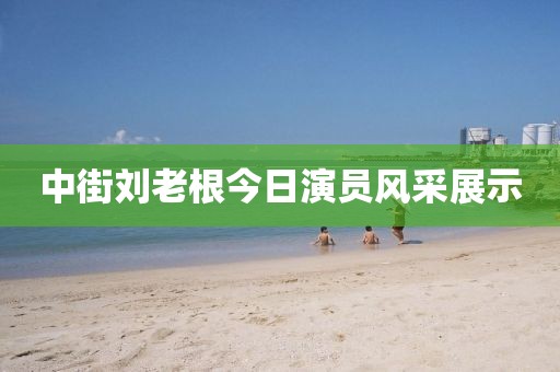 中街刘老根今日演员风采展示