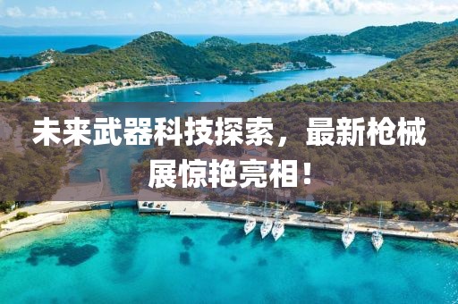 未来武器科技探索，最新枪械展惊艳亮相！