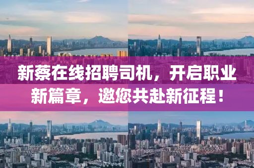 新蔡在线招聘司机，开启职业新篇章，邀您共赴新征程！