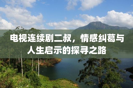 电视连续剧二叔，情感纠葛与人生启示的探寻之路