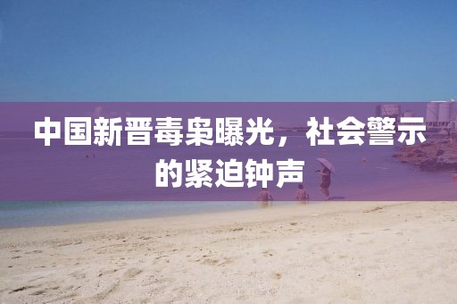 中国新晋毒枭曝光，社会警示的紧迫钟声