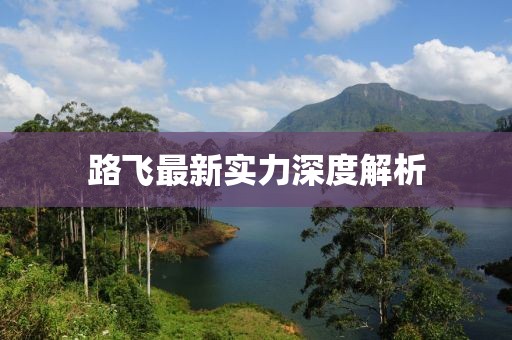 路飞最新实力深度解析