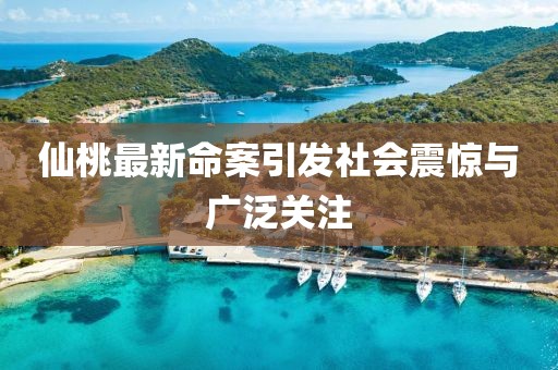 仙桃最新命案引发社会震惊与广泛关注