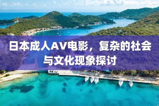 日本成人AV电影，复杂的社会与文化现象探讨
