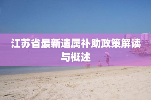 江苏省最新遗属补助政策解读与概述