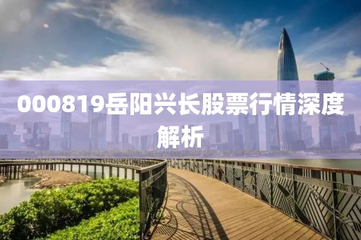 000819岳阳兴长股票行情深度解析