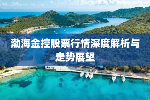 渤海金控股票行情深度解析与走势展望