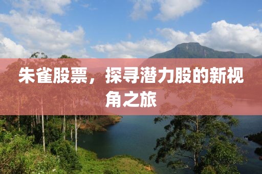 朱雀股票，探寻潜力股的新视角之旅
