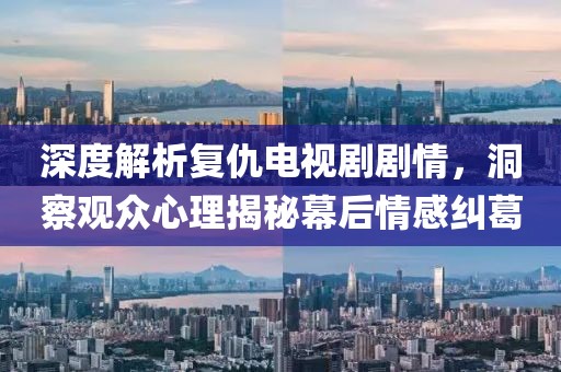 深度解析复仇电视剧剧情，洞察观众心理揭秘幕后情感纠葛