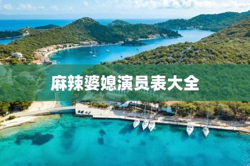 麻辣婆媳演员表大全