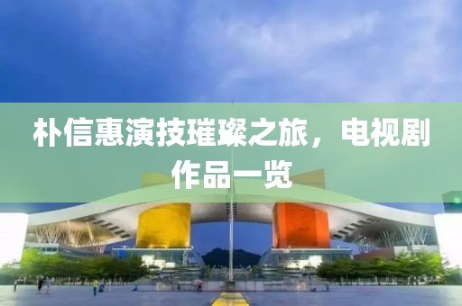 朴信惠演技璀璨之旅，电视剧作品一览