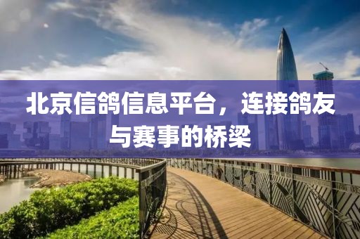 北京信鸽信息平台，连接鸽友与赛事的桥梁