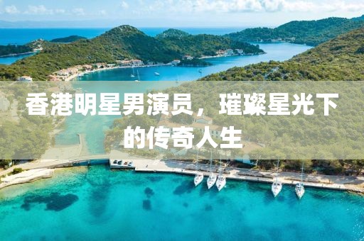 香港明星男演员，璀璨星光下的传奇人生