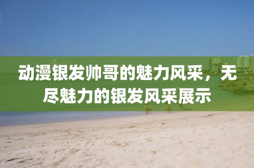 动漫银发帅哥的魅力风采，无尽魅力的银发风采展示