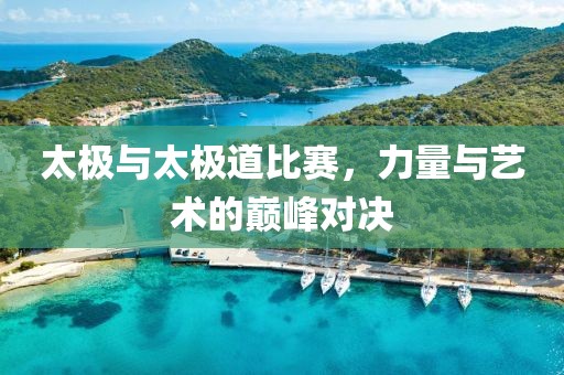 太极与太极道比赛，力量与艺术的巅峰对决