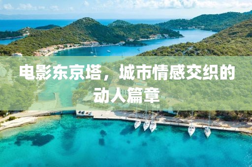 电影东京塔，城市情感交织的动人篇章