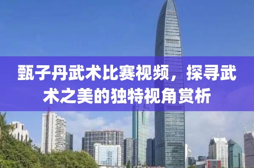 甄子丹武术比赛视频，探寻武术之美的独特视角赏析