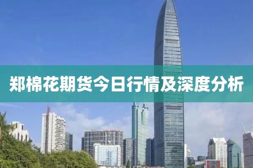 郑棉花期货今日行情及深度分析