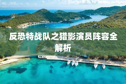 反恐特战队之猎影演员阵容全解析