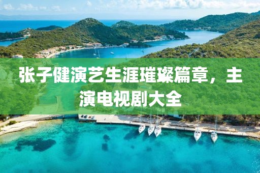张子健演艺生涯璀璨篇章，主演电视剧大全