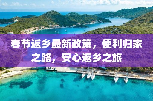 春节返乡最新政策，便利归家之路，安心返乡之旅