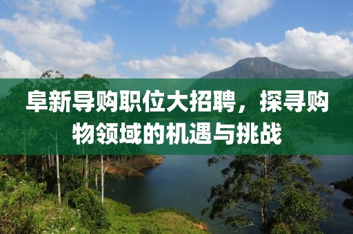 阜新导购职位大招聘，探寻购物领域的机遇与挑战