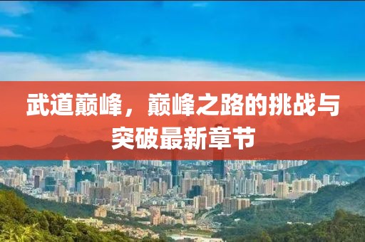 武道巅峰，巅峰之路的挑战与突破最新章节