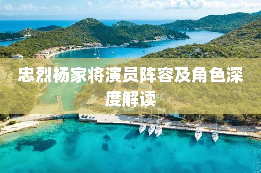 忠烈杨家将演员阵容及角色深度解读