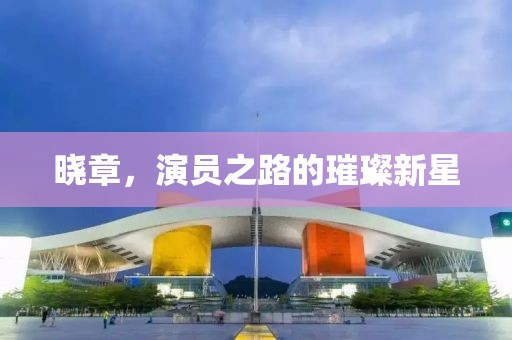 晓章，演员之路的璀璨新星
