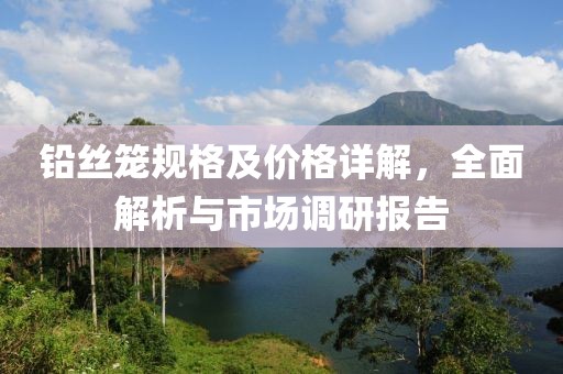 铅丝笼规格及价格详解，全面解析与市场调研报告