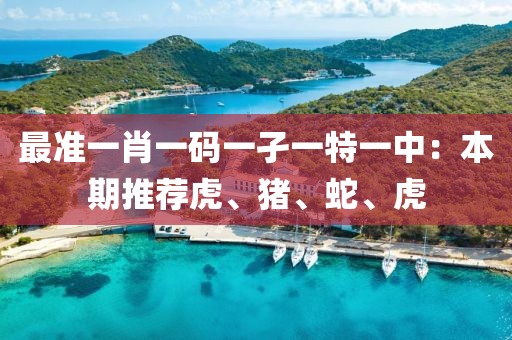 最准一肖一码一孑一特一中：本期推荐虎、猪、蛇、虎