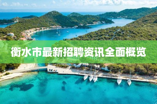 衡水市最新招聘资讯全面概览