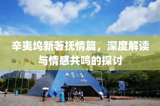 辛夷坞新著抚情篇，深度解读与情感共鸣的探讨