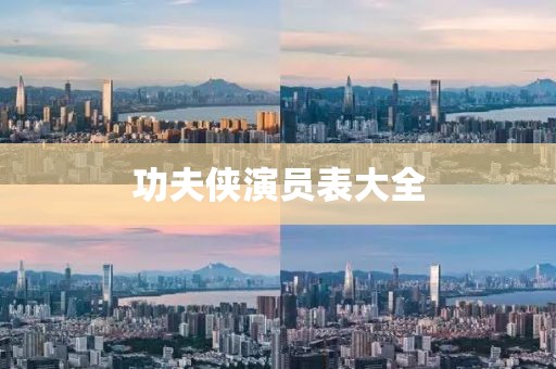 功夫侠演员表大全
