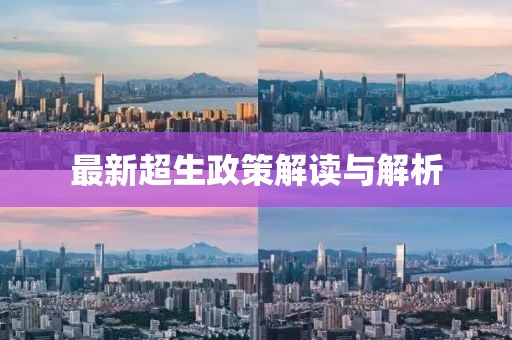 最新超生政策解读与解析