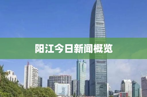 阳江今日新闻概览