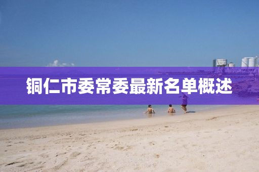 铜仁市委常委最新名单概述